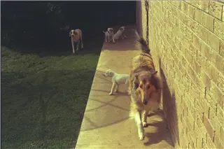 small_9400 1017 cew familyIMG0068.webp